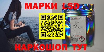 стафф Дубна