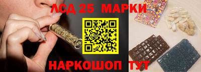 стафф Дубна