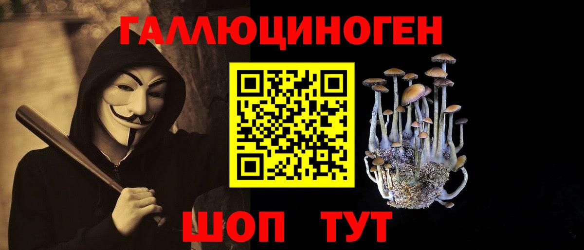 Галлюциногенные грибы прущие грибы  Галлюциногенные грибы Psilocybine cubensis  Мыски  Вход с VPN 